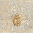 thumbnail image 2 of Aryai, Sia 12x12 Gold Ornate Wood Framed with Double Matting Museum Art Print Titled - Aqua Marine VII, 2 of 4