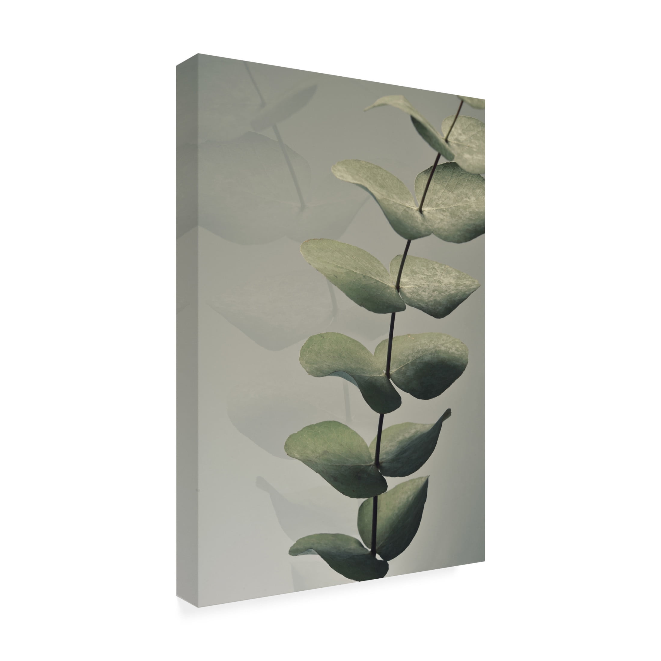 Canvas Wall Art - Heidi Westum 'Me And My Soul' Wall Art for Living Room, Bedroom, or Office Décor by Trademark Fine Art - 12 x 19 Inches