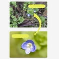 thumbnail image 1 of stanreset Close-up Filter Kit +1 +2 +4 Camera Photo +10 Lens Set for Digital Cameras 46mm, 1 of 9