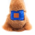 thumbnail image 1 of CAROOTU Couches Réutilisables Lavables pour Chiens Coton Respirant Chiot Bandes de Ventre Crochet & Boucle Sanitaire Réglable Pantie pour Animal de Compagnie, 1 of 6