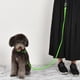 thumbnail image 5 of Correa de perro LED larga para al USB recargable 3 modos intermitentes - M Yinane Correa de cuerda de tracción para perros, 5 of 7