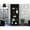 Black, variant on Matt Gray/White 2-Door Storage Unit / Spacious Shelving for Home Library