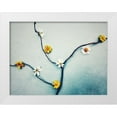 thumbnail image 1 of Savoric, Sandra 32x25 White Modern Wood Framed Museum Art Print Titled - Composition, 1 of 4
