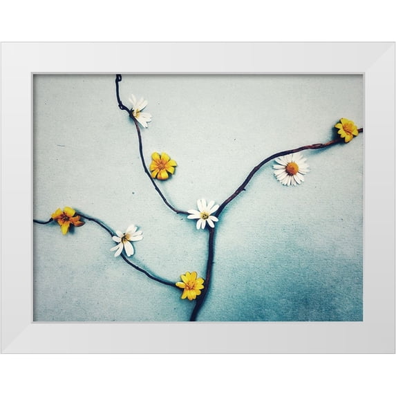 Savoric, Sandra 32x25 White Modern Wood Framed Museum Art Print Titled - Composition