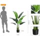 thumbnail image 3 of 4ft (48 pulgada) artificial bird of paradise plant - 1 pack con 8 trunks y faux leaves, ideal para para indoor/outdoor, home/oficina decor, perfect housewarming gift, 3 of 7