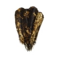 thumbnail image 2 of Zucker 10-12" Tie Dye Turkey Feather, Beige and Brown, 6 piece package, 2 of 5