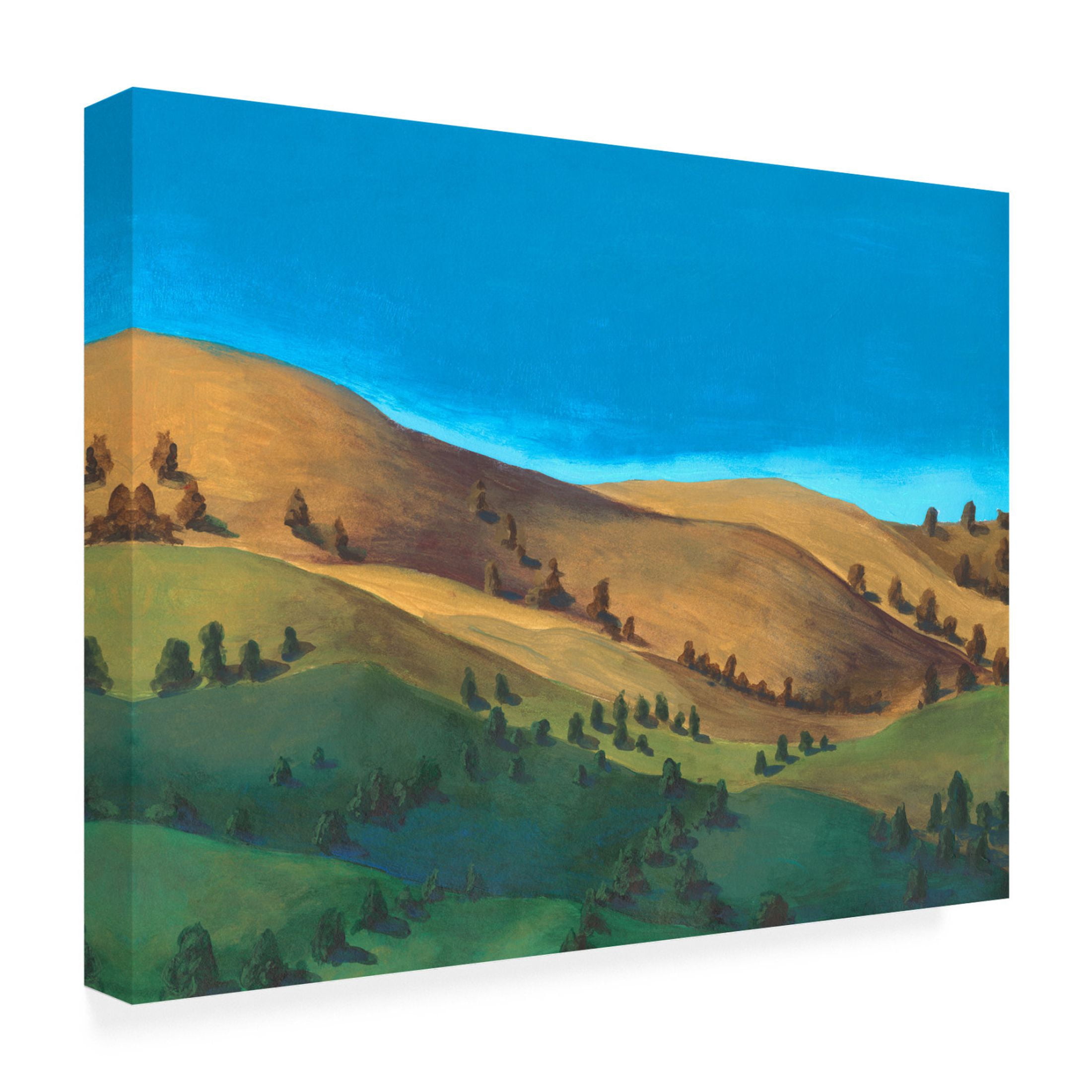 Trademark Fine Art Michael Willett  Golden Hillsides I Canvas Wall Art