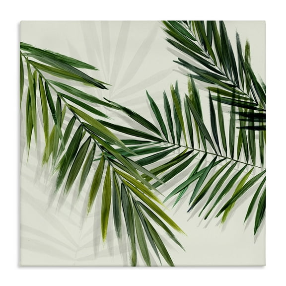 Stupell Industries Tropical Palms with Shadows Plants & Flowers Painting Wrapped Canvas Art Print Wall Art, 17 x 17