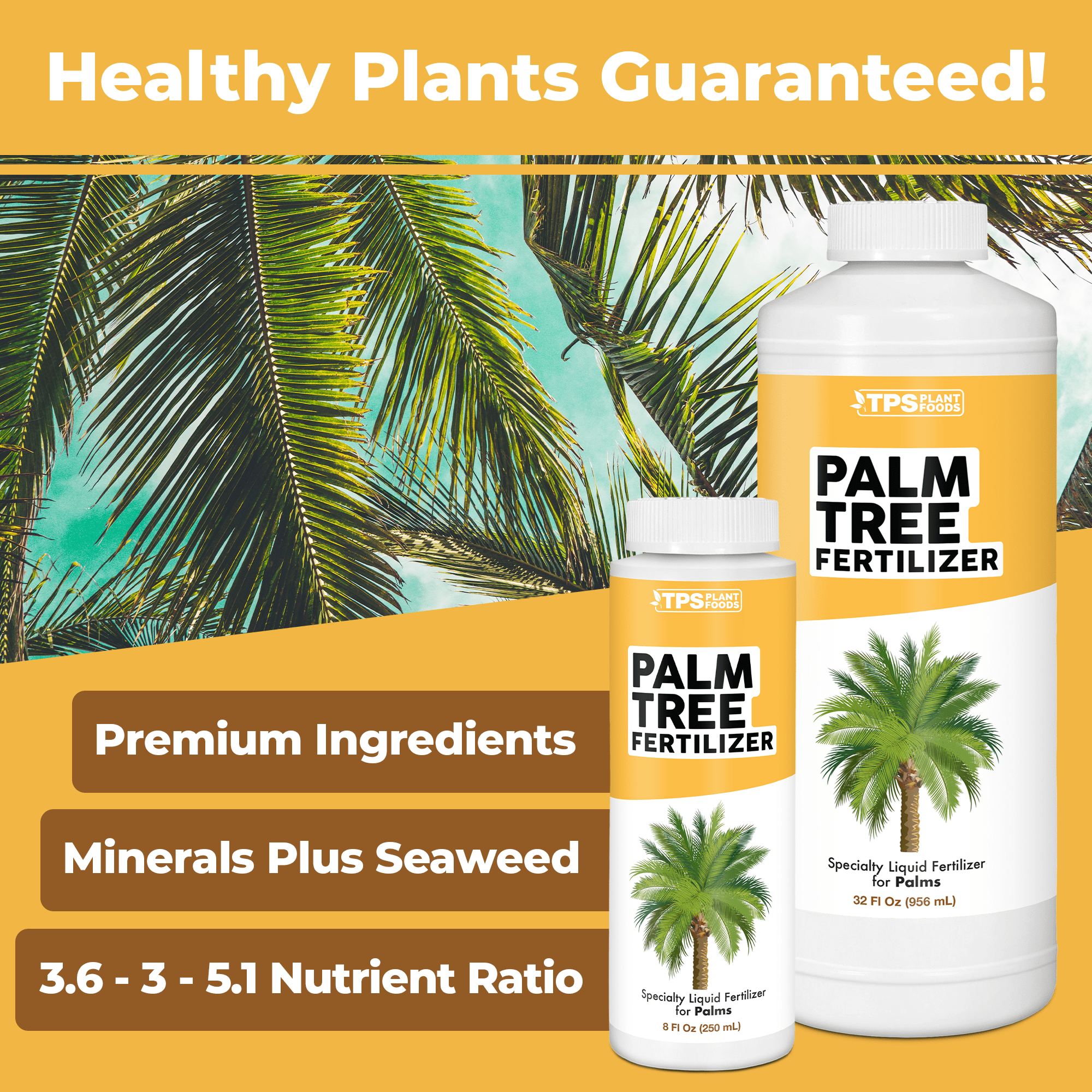 Palm Tree Fertilizer for All Palms and Ferns, Liquid Plant Food, 32 oz (1  Quart)