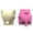 313, variant on Aellinatey Mini Succulent Planters Pot Mold Cute Zebra Fox Cow Cat Flower Pot Mould DIY