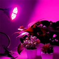 thumbnail image 5 of Bombilla LED E27 para Crecimiento de Plantas, 30W E27 con Luz para Plantas de Espectro Completo de 40LED, CA 85-265V, Luz de Crecimiento y Flores para Interiores para Jardín/Hidroponía/Acuario, Paquete de 2 [Clase de eficiencia energética A+] Sailing Electrónica, 5 of 5