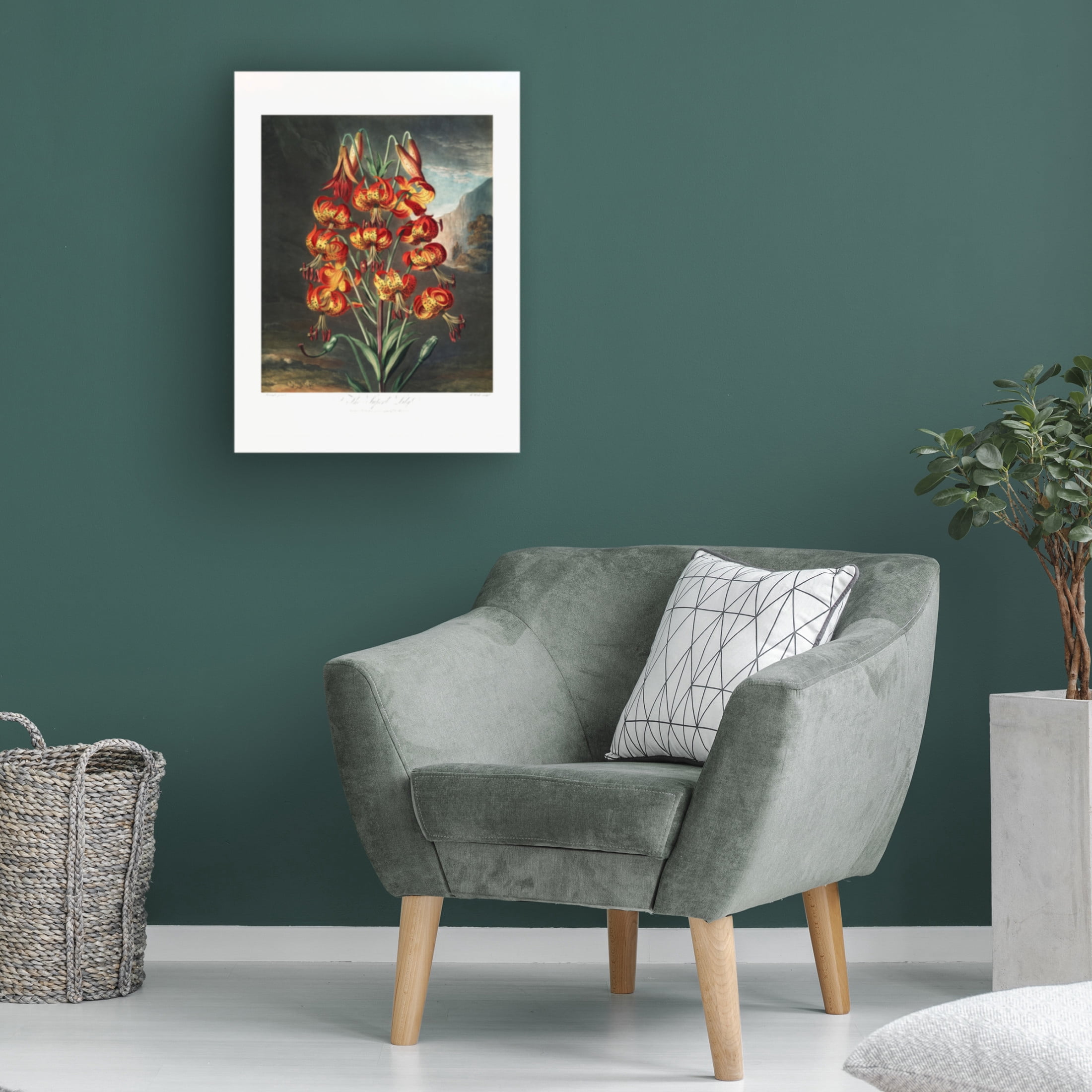 Trademark Fine Art Pictufy The Superb Lily from The Temple of Flora 1807 Canvas Wall Art