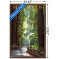 thumbnail image 3 of Lantern Press - Muir Woods National Monument, California, Pathway Wall Poster, 22.375" x 34" Framed, 3 of 5