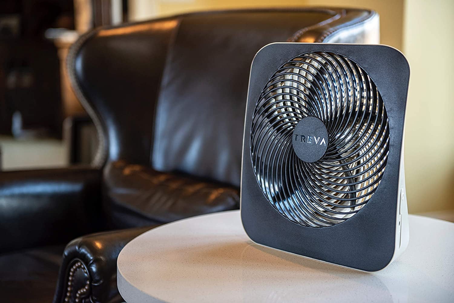 Treva 10-Inch 2-Speed Battery Operated Portable Electric Household Fan
