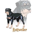 thumbnail image 2 of CafePress - Rottweiler -  Round Wood Ornament 4", 2 of 2