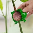 thumbnail image 2 of Propagation Excellence, Air Layering Kit With Transparent Material For Direct Observation Of Roots Growing, 15 Pieces Sturdy And Reusable Plant Rooting Device, Ideal For Indoor, 2 of 6