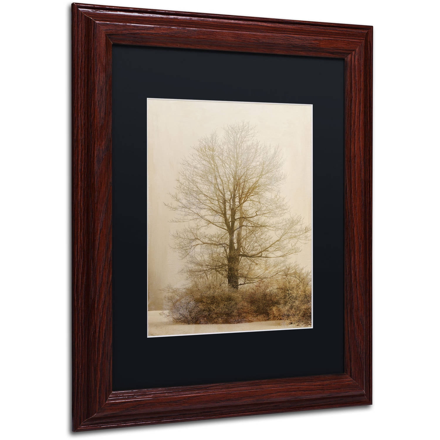 Trademark Fine Art "Tan Tones in the Fog" Canvas Art by Lois Bryan, Black Matte, Wood Frame