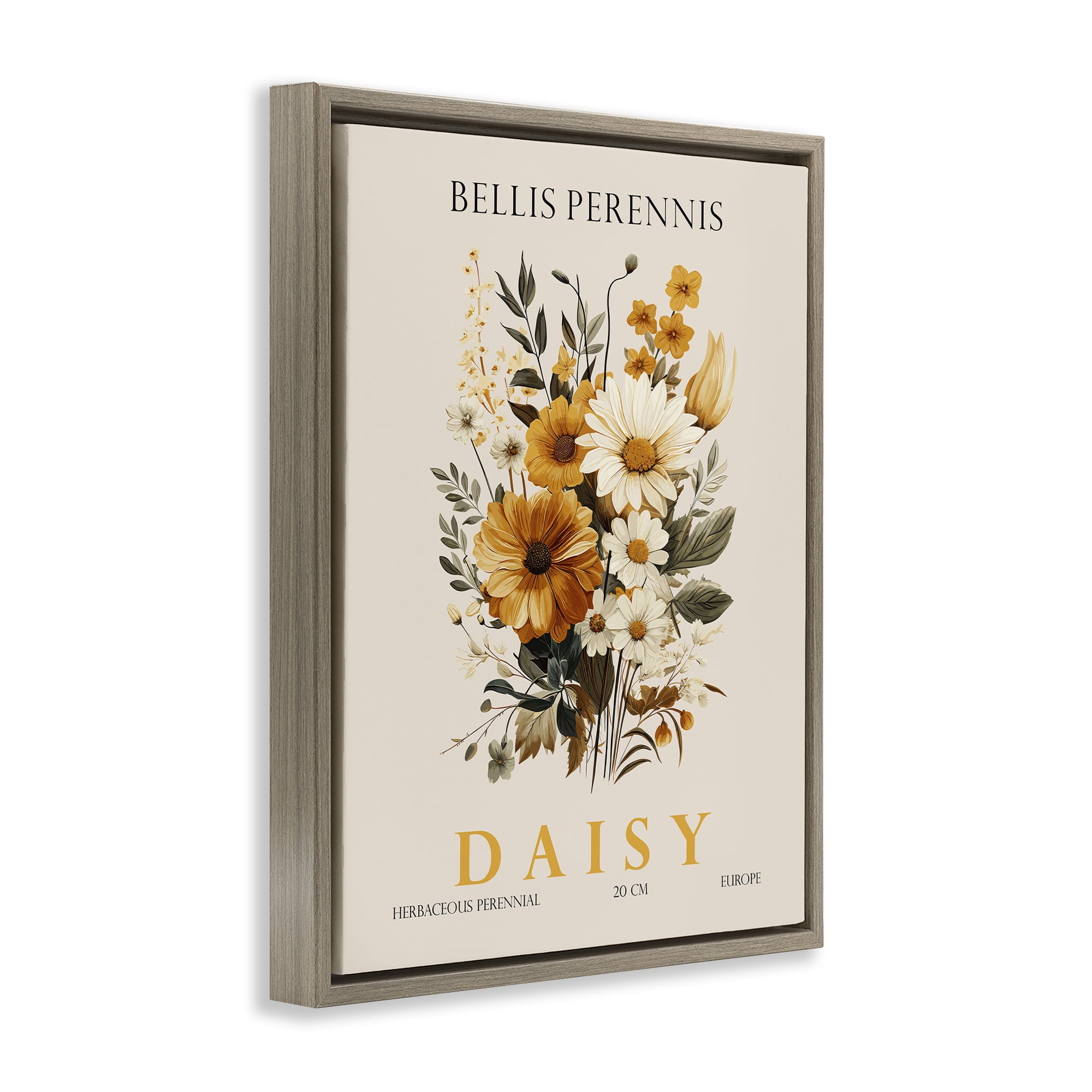 Stupell Industries Nature Daisy Bundle Brown Framed Floater Canvas Wall Art, design by Christopher Giampietro