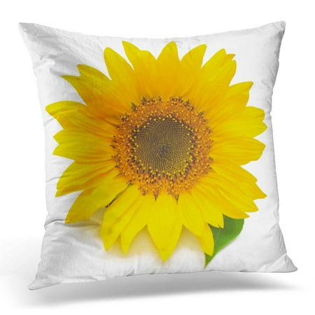Green Sofa Pillows USART Orange Sun Flower of Sunflower White Seeds and Oil Flat Lay Top View Green Agriculture Throw Pillow Case Pillow Cover Sofa Home Decor 16x16 Inches ()