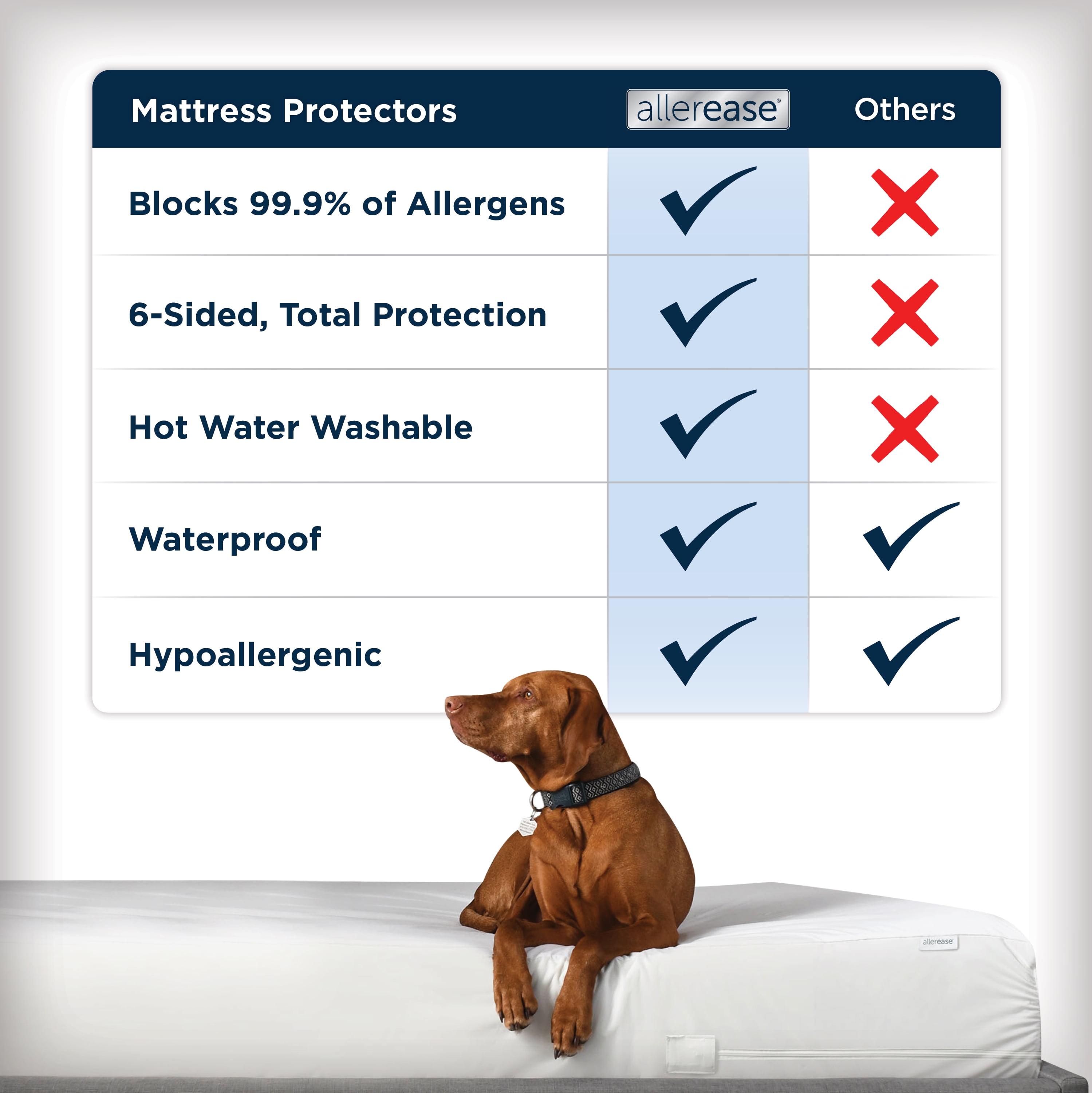 AllerEase Waterproof Mattress Cover Protector Queen, White- Allergy Defense Fabric Fitted