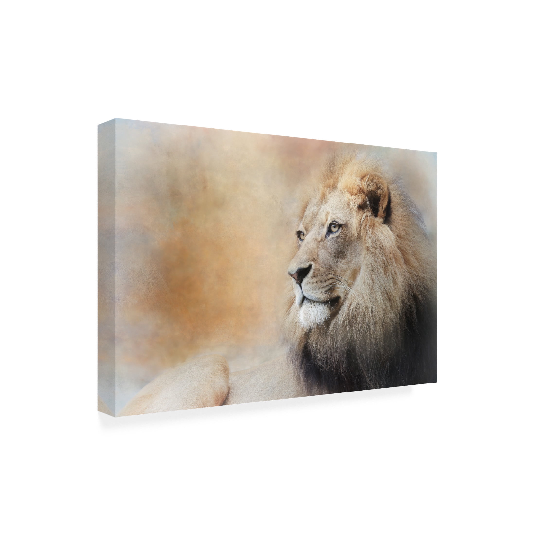 Trademark Fine Art Linda D Lester In Deep Thought Canvas Wall Art