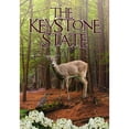 thumbnail image 2 of America Forever Pennsylvania State House Flag- 28 x 40 inches- Pennsylvania Young Male Deer in the Forest USA Regional Yard Outdoor Decorative Double Sided Flag, 2 of 5