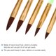 thumbnail image 1 of Juego de Pinceles de Nylon Ecomeon 5 Piezas Acrílico Nail Art Set Kit Herramientas, 1 of 6