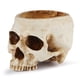 thumbnail image 1 of Calavera hueca aterradora para Halloween, maceta de resina de hollín seco, simulación de calavera, 6.75 pulgadas, estatua de calavera hueca de cerámica, maceta de resina (calavera desnuda), beige JAMW Sencillez, 1 of 5