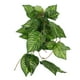thumbnail image 5 of Tanque de reptiles, planta falsa, decoración de plantas artificiales, adorno de planta vívida, decoración de tanque de reptiles, 5 of 6