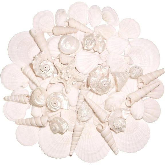 Sinkoo Silver White Sea Shell Mix Ocean Shells Set, 1.2"-2.6" Various Sizes Natural Seashell & Starfish for Beach Themed Decor, DIY Crafts, Vase Fillers, Christmas, Home, Wedding & Party Decor