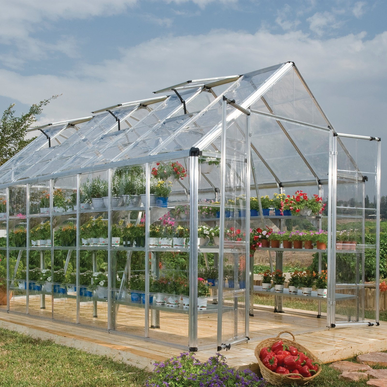Snap and Grow 8' x 16' Silver Frame Hobby Greenhouse by Palram
