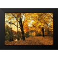 thumbnail image 2 of Jenney, Jessica 24x17 Black Modern Framed Museum Art Print Titled - Golden Canopy, 2 of 5