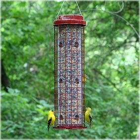Droll Yankees Flipper Squirrel Proof Green Bird Feeder Walmart Com