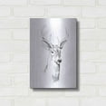 thumbnail image 3 of Luxe Metal Art 'Young Buck Sketch I' by Emma Scarvey, Metal Wall Art, 12"x16", 3 of 9