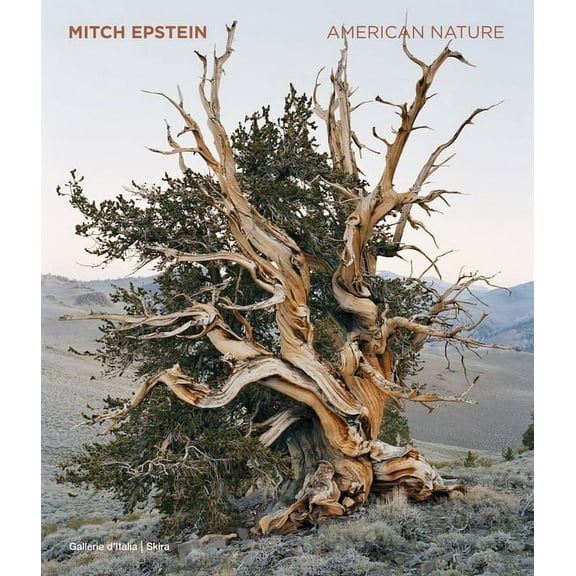 Mitch Epstein: American Nature, (Hardcover)