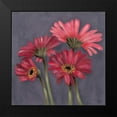 thumbnail image 2 of Reynolds, Jade 20x20 Black Modern Framed Museum Art Print Titled - Gerbers on Grey I, 2 of 5