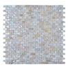 Legion Furniture MS-SEASHELL06 Tile Mosaic With Seashell, 12.25" X 11.5"