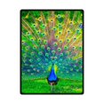 thumbnail image 1 of RYLABLUE Green Grass Peacock Feathers Fleece Blanket Throws 58x80 inches, 1 of 3