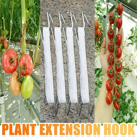 

〖TOTO〗Garden Seed Disseminators Tomato Hook Tomato Support Clips Vegetable Support Prevent Tomatoe From Pinching