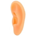 thumbnail image 1 of Ear Model, Lifelike Soft Flexible Waterproof Simulated Ear Mould  For Hospital Left,Right, 1 of 8