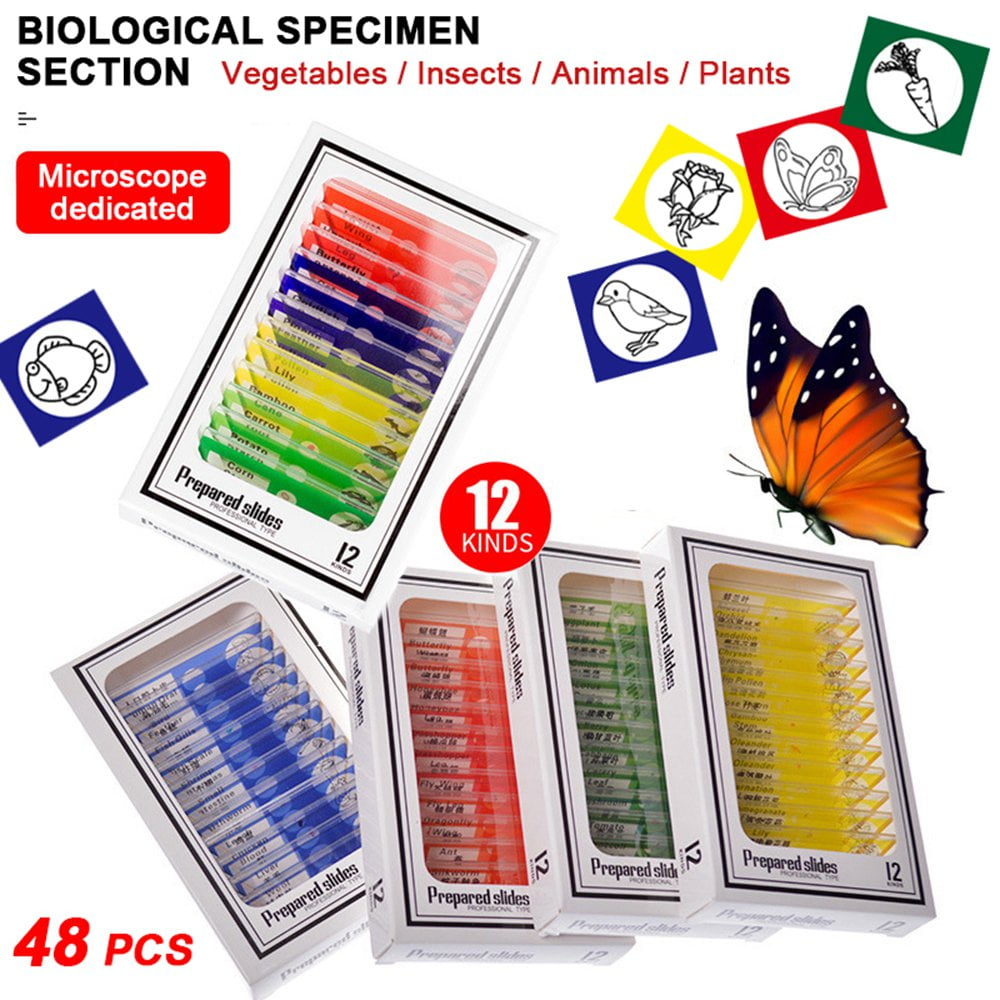 Stereo Microscope Slide for Kids Children Students Basic Biological Science Education N\A 48Pcs Kids Plastic Prepared Microscope Slides Animals Insects Plants Flowers Sample Specimens 