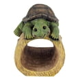 thumbnail image 3 of Design Toscano Drips the Turtle Gutter Guardian Downspout Statue, 3 of 5