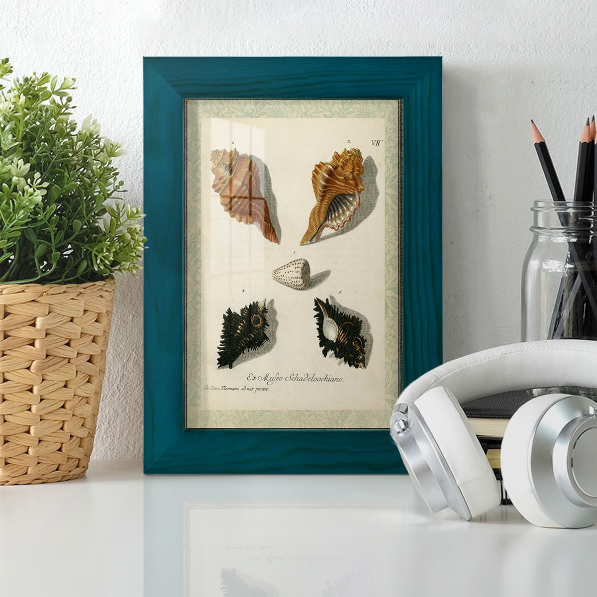 Bookplate Shells I - Framed Print w/glass - Ocean Blue