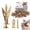 1.18in,100PCS, variant on Self-Drilling Drywall Anchors,Drywall Screws and Anchors,Dry Wall Anchors,Wall Anchors for Drywall and Door Hinge Repair Tool Easy for Fixing Garden Statues,Patio Furniture,Garden Decor(1.18IN,20pcs)