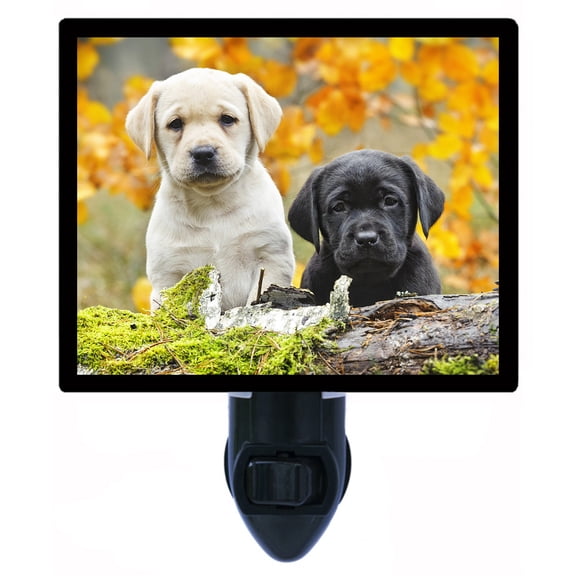 Night Light - Yellow and Black Labs. | Dog Theme, Includes Free Switchable Insert, 4W Bulb, E12 Base