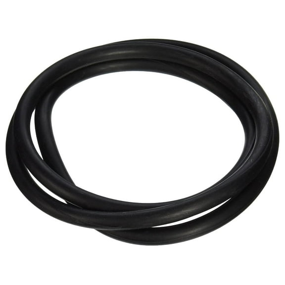 152127 18-Inch O-Ring Replacement Nautilus Pool and Spa D.E. Filter