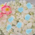 thumbnail image 3 of OULII Glow in the Dark Garden Pebbles 100Pcs Sky-Blue for Yards, 3 of 6
