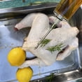 thumbnail image 2 of Meat Injector Syringe - 3 Marinade Injector Needles for BBQ Grill, Premium Porta, 2 of 5