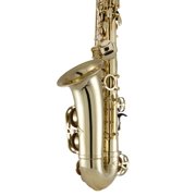 Prelude by Selmer PAS111 Student Alto Saxophone Outfit