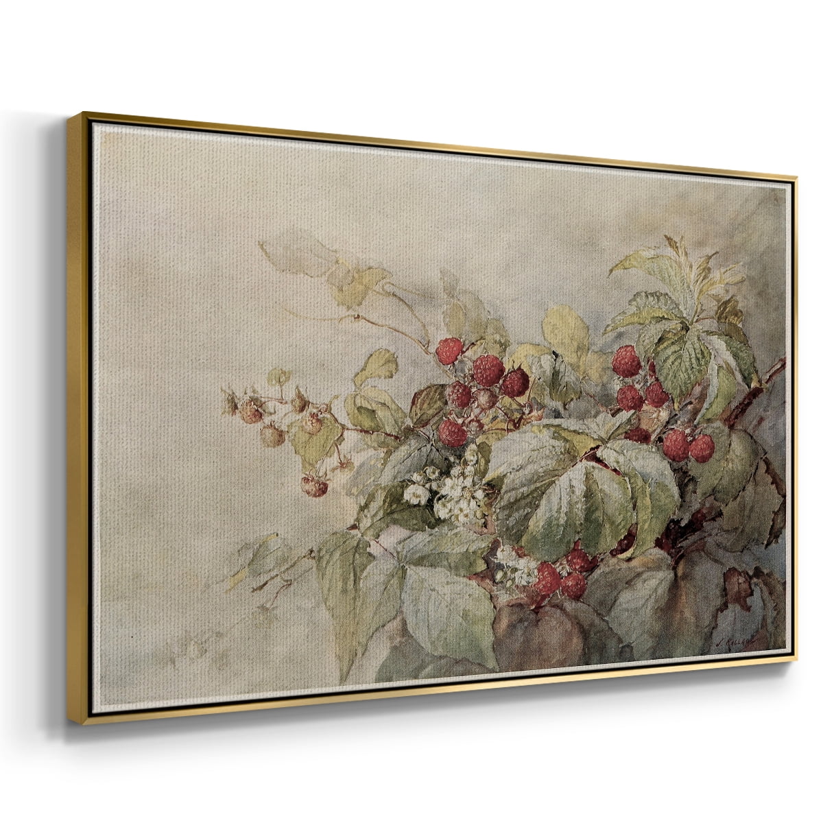 Vintage Botanical Print-V By Wexford Home Framed in Gold Wood Gallery Wrapped Canvas 27 in. x 41 in.